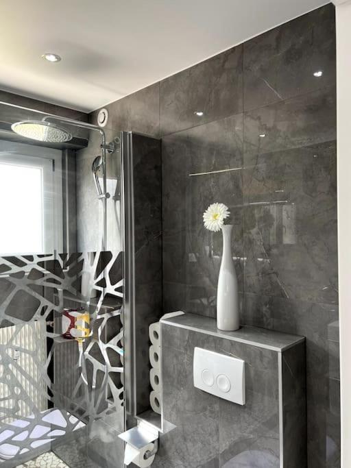 Superbe Appartement Lumineux Avec Parking Gratuit Wintzenheim Exteriör bild