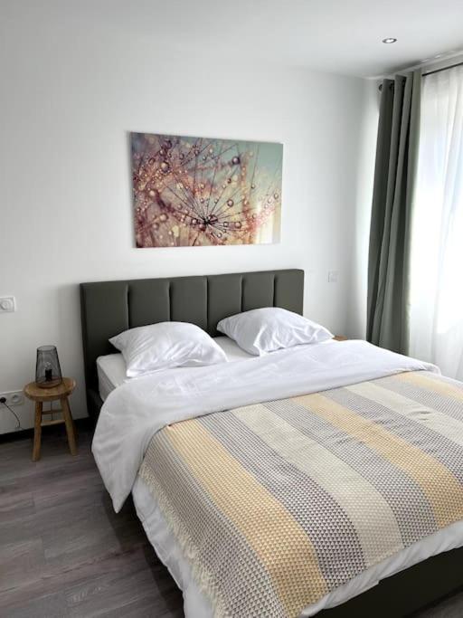 Superbe Appartement Lumineux Avec Parking Gratuit Wintzenheim Exteriör bild